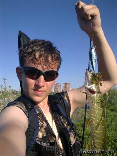 01062011113.jpg