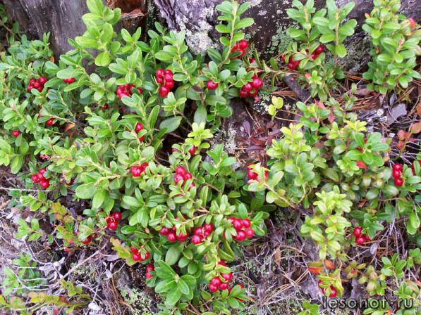 photo_00017.jpg