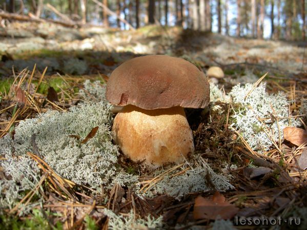 PICT0880.JPG