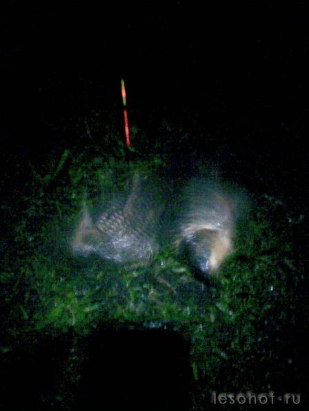 055.jpg