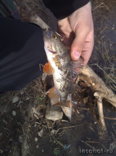 WP_000980.jpg