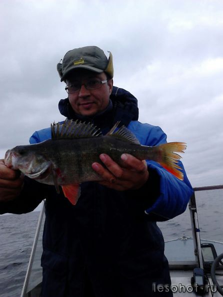 ���� 4-5���2013 (3).jpg