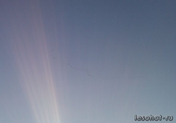 2012-10-01 17.50.25_cr.jpg