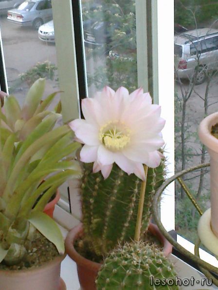 20052012063.jpg