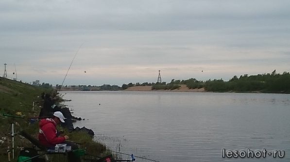 DSC_0029.JPG