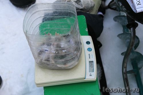 0_96562_107ee46d_L.jpg