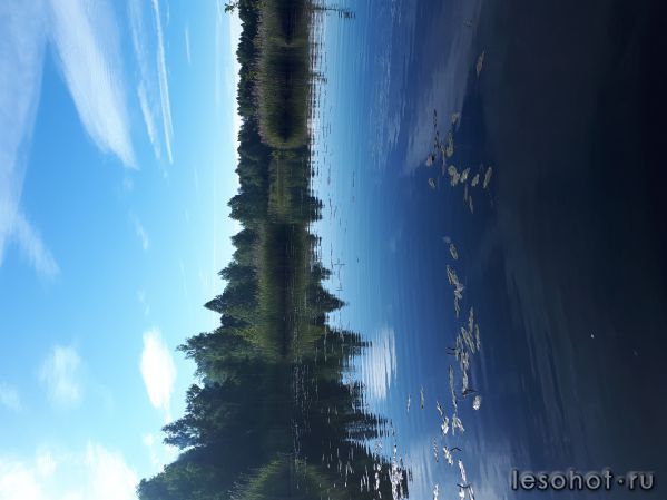 20180614_064048.jpg
