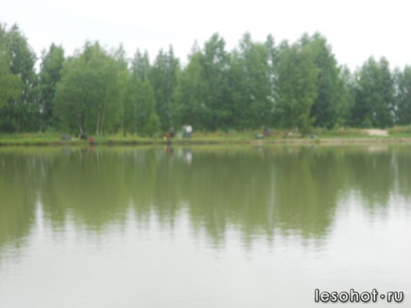 DSCN3449.JPG
