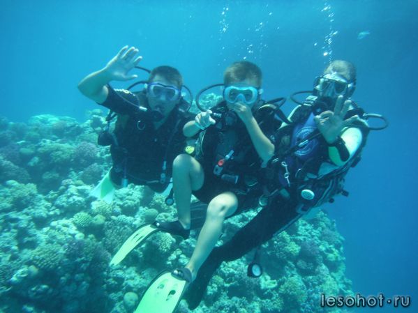 diving.JPG
