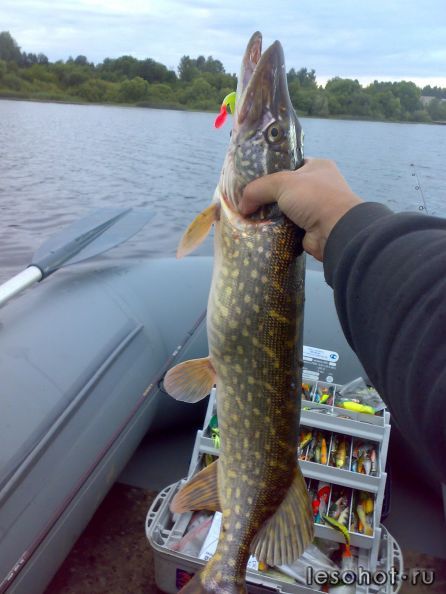 250720121882.jpg