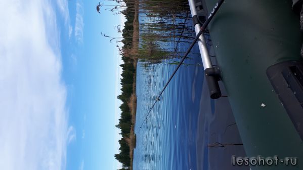 20180527_062732.jpg