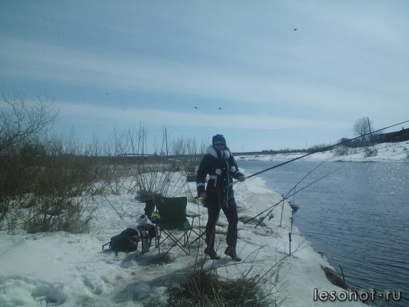 IMG431.jpg