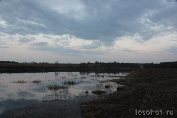 IMG_0742.JPG