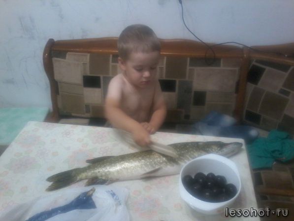 IMG-1441559996313-V.jpg