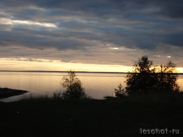 DSC03768.JPG