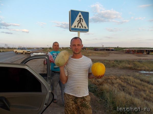  2012 045.jpg