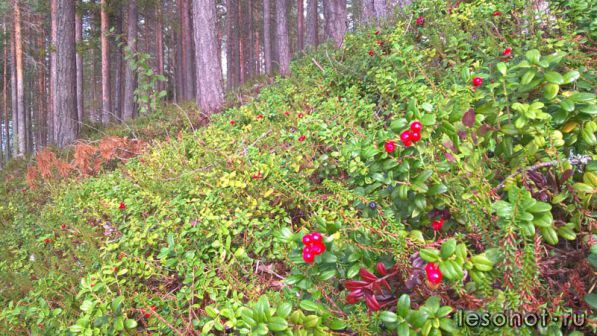 photo_00029.jpg