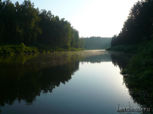 P1030100.JPG
