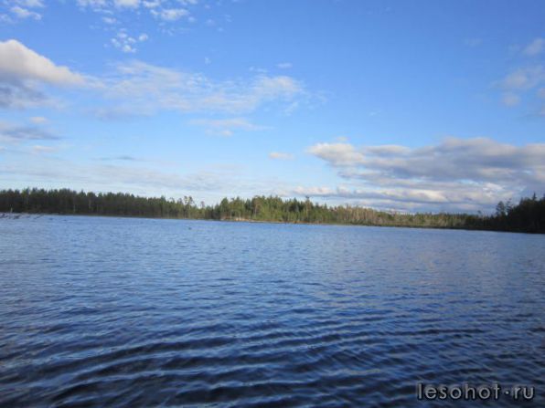 photo_00129.jpg