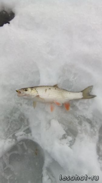 IMG_20150220_105332.jpg
