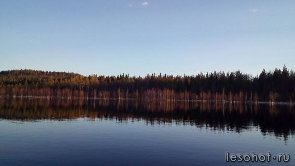 photo_00155.jpg