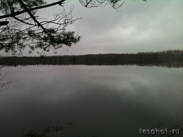 IMG_0660.jpg