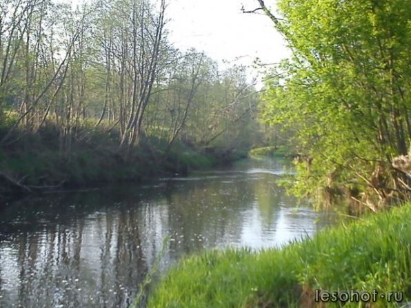 DSC00064.JPG