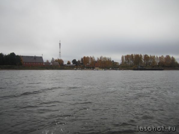 IMG_8502.jpg