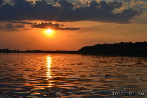 DSC_0125.JPG