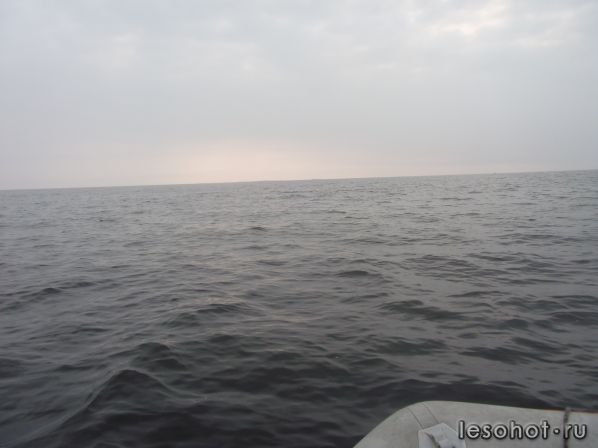 DSCF2707.JPG