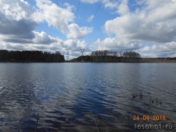 DSCN4934.JPG