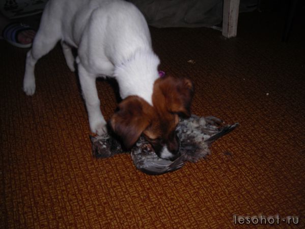 DSCN2499.JPG