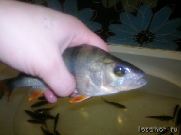 03122011547.jpg