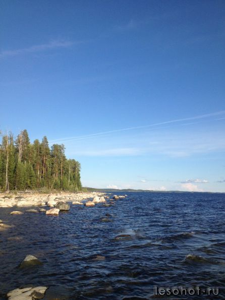photo_00260.jpg