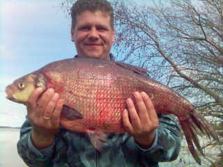 ������� 3 ��