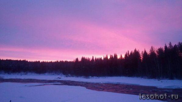 photo_00395.jpg
