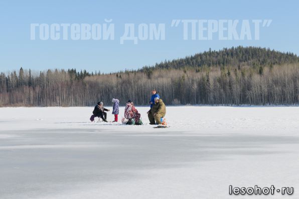 photo_00017.jpg