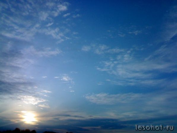 x_f016fa56.jpg