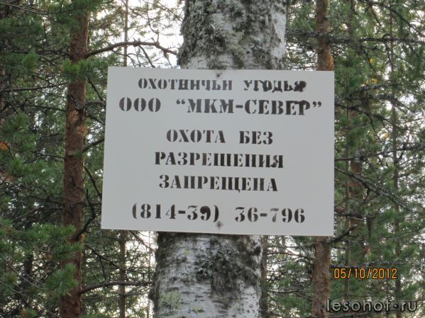 IMG_0153.JPG