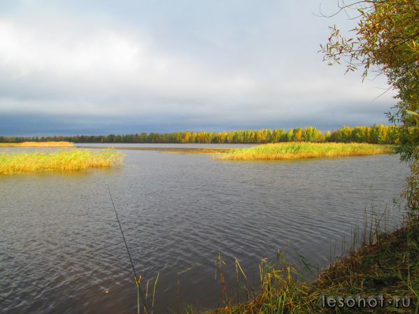IMG_0072.JPG
