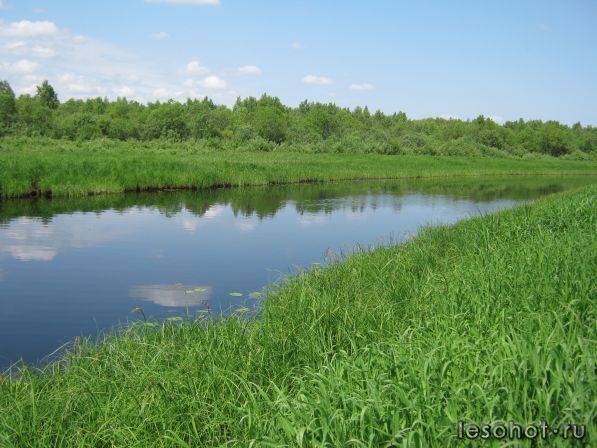 IMG_0224.JPG
