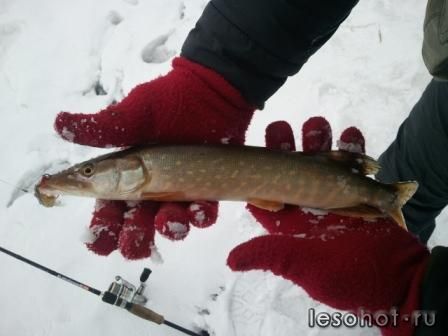 2013-04-07 10.40.58.jpg