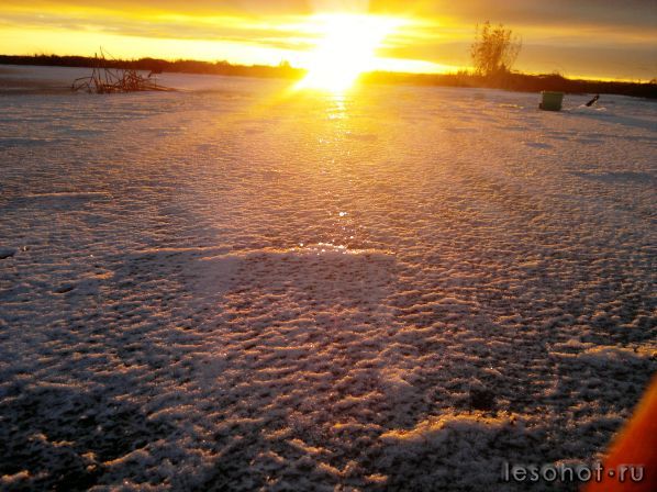 02122011534.jpg