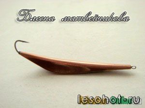 1333112391_zimnyaya-blesna-matveychikova.jpg