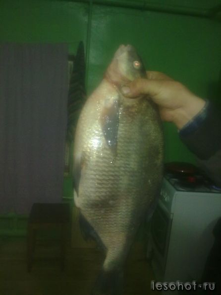 24042012339.jpg