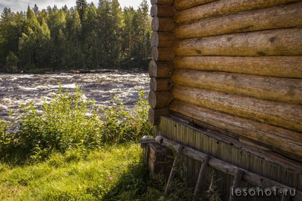 DSC_0174.jpg