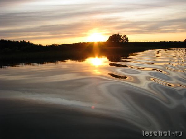 IMG_2530.jpg