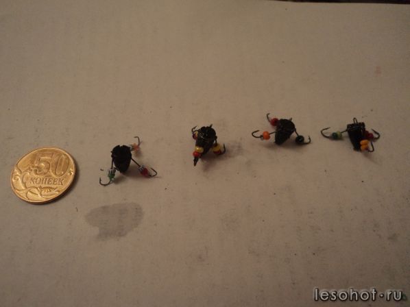 DSC01100.JPG