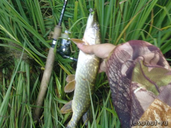 07082011247.jpg