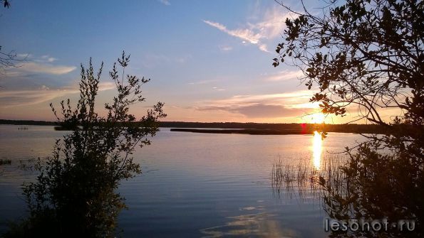 WP_20140730_024.jpg